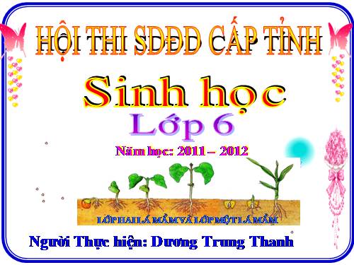 Bài 42. Lớp Hai lá mầm và lớp Một lá mầm