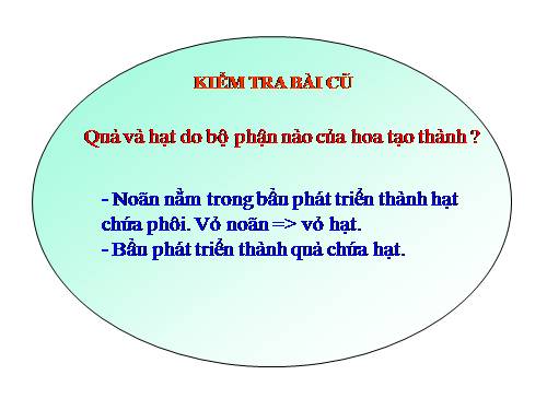 Bài 32. Các loại quả