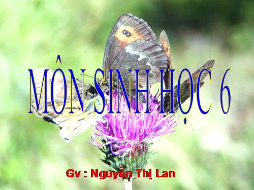 Bài 30. Thụ phấn