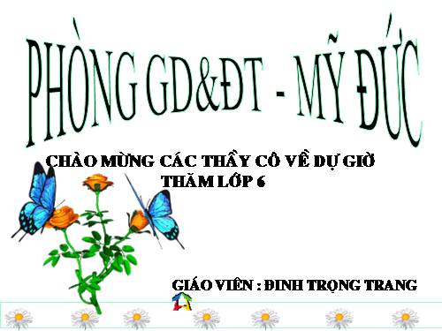 Bài 52. Địa y