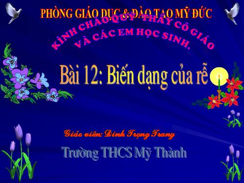 Bài 12. Biến dạng của rễ