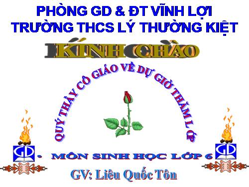 Bài 32. Các loại quả