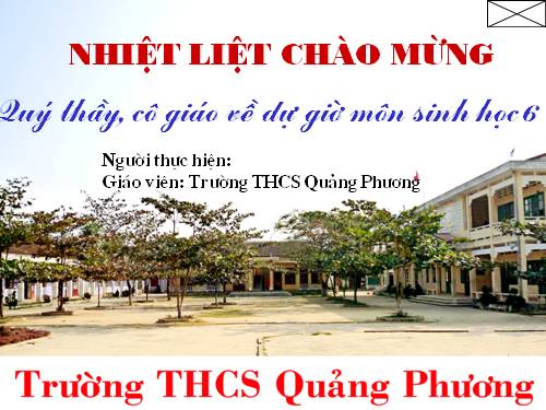 Bài 34. Phát tán của quả và hạt