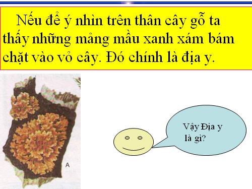 Bài 52. Địa y