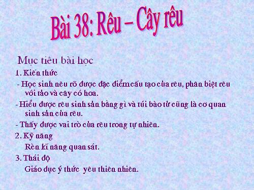 Bài 38. Rêu - Cây rêu