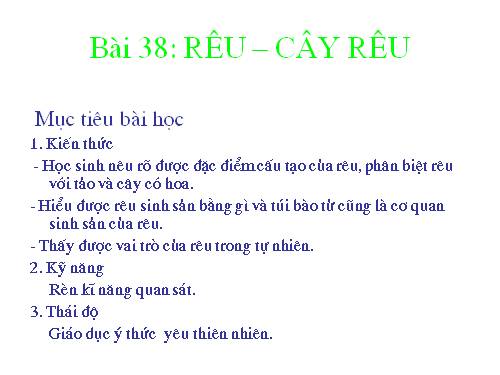 Bài 38. Rêu - Cây rêu