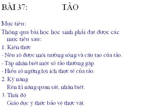 Bài 37. Tảo