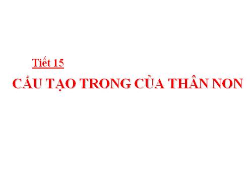 Bài 15. Cấu tạo trong của thân non