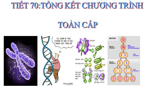 TỔNG KẾT CHƯƠNG TRÌNH TOÀN CẤP