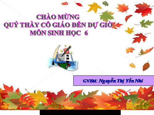 Bài 23. Cây có hô hấp không?