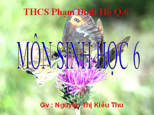 Bài 30. Thụ phấn