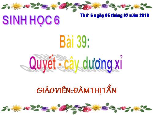 Bài 39. Quyết - Cây dương xỉ