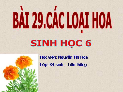 Bài 29. Các loại hoa