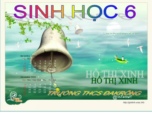 Bài 13. Cấu tạo ngoài của thân