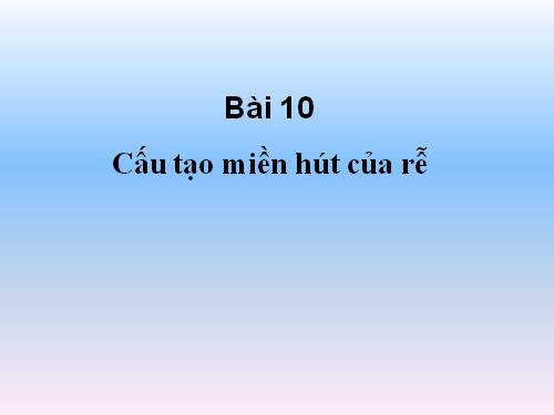 Bài 10. Cấu tạo miền hút của rễ
