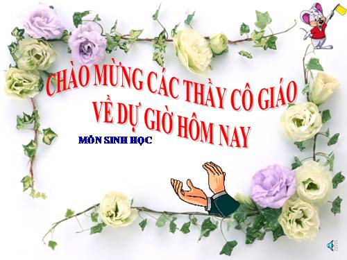 Bài 17. Vận chuyển các chất trong thân