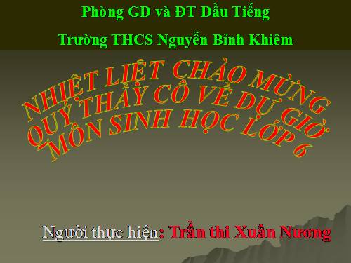 Bài 28. Cấu tạo và chức năng của hoa