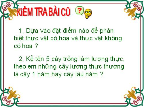 Bài 5. Kính lúp, kính hiển vi và cách sử dụng