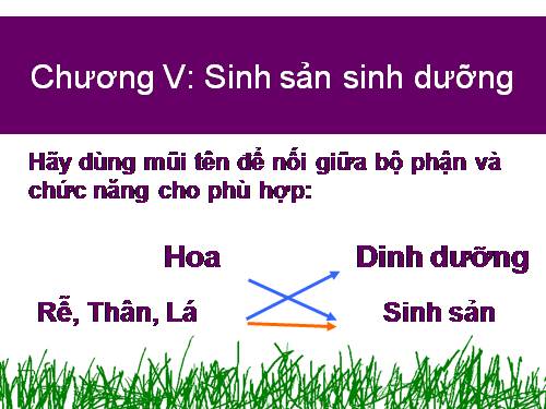 Bài 26. Sinh sản sinh dưỡng tự nhiên