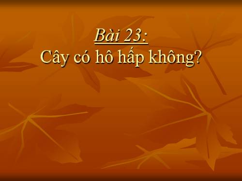 Bài 23. Cây có hô hấp không?