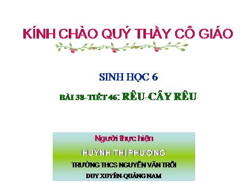 Bài 38. Rêu - Cây rêu