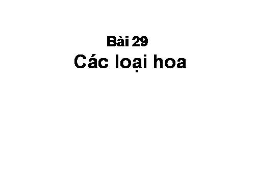 Bài 29. Các loại hoa