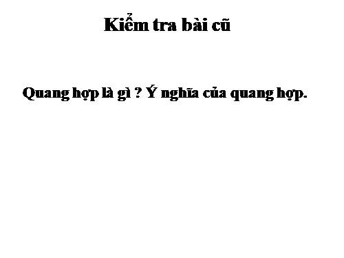 Bài 24. Phần lớn nước vào cây đi đâu?