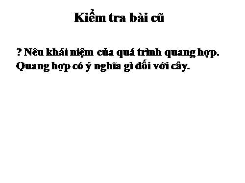 Bài 24. Phần lớn nước vào cây đi đâu?