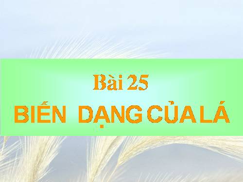 Bài 25. Biến dạng của lá