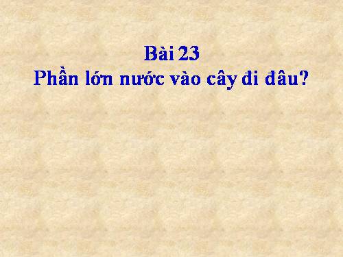 Bài 24. Phần lớn nước vào cây đi đâu?