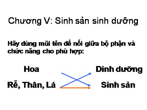 Bài 26. Sinh sản sinh dưỡng tự nhiên