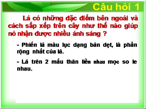 Bài 20. Cấu tạo trong của phiến lá