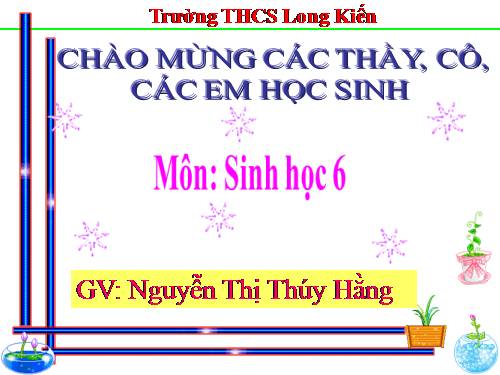 Bài 23. Cây có hô hấp không?