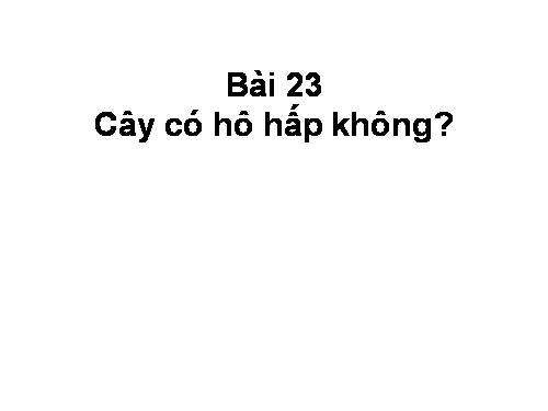 Bài 23. Cây có hô hấp không?