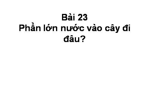 Bài 24. Phần lớn nước vào cây đi đâu?