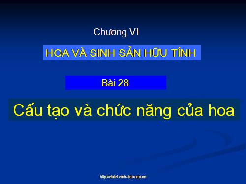 Bài 28. Cấu tạo và chức năng của hoa