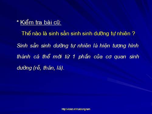 Bài 27. Sinh sản sinh dưỡng do người