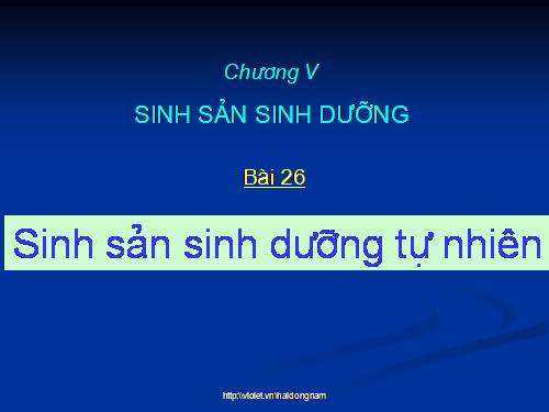 Bài 26. Sinh sản sinh dưỡng tự nhiên