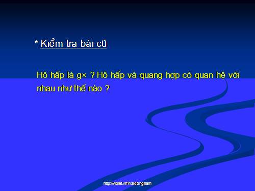 Bài 24. Phần lớn nước vào cây đi đâu?