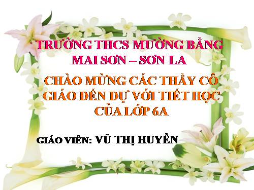 Bài 21. Quang hợp