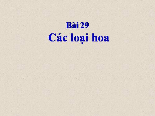 Bài 29. Các loại hoa