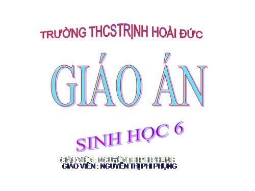 Bài 19. Đặc điểm bên ngoài của lá