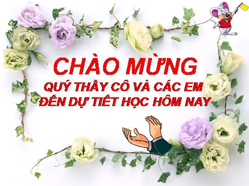 Bài 16. Thân to ra do đâu ?