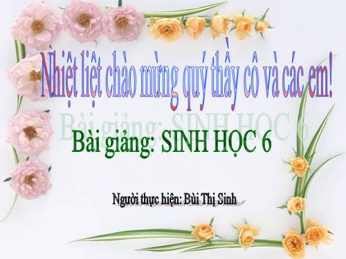 Bài 21. Quang hợp