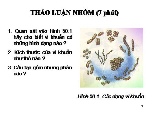 Bài 50. Vi khuẩn