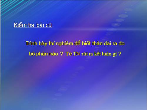 Bài 15. Cấu tạo trong của thân non