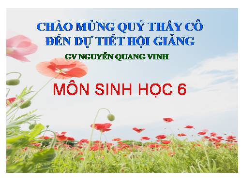 Bài 21. Quang hợp