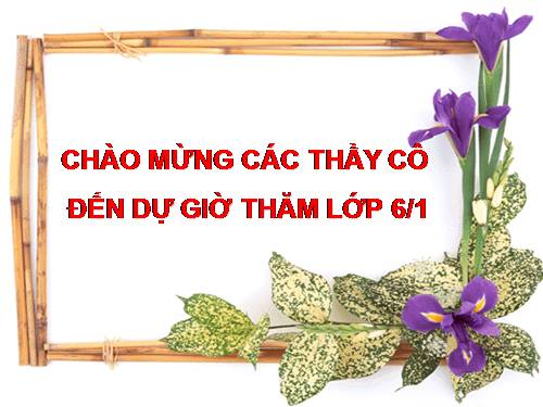 Bài 15. Cấu tạo trong của thân non