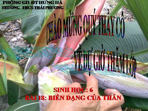 Bài 18. Biến dạng của thân