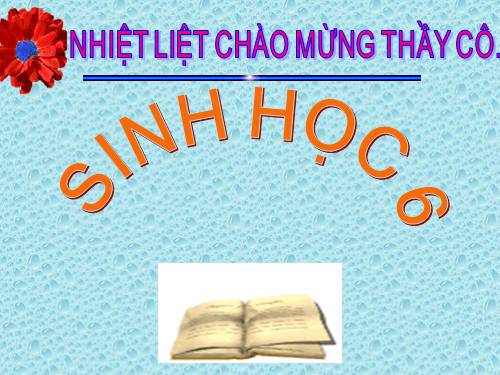 Bài 48. Vai trò của thực vật đối với động vật và đối với đời sống con người